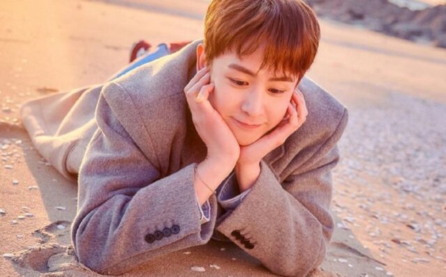 닉쿤