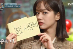 혜리-놀토